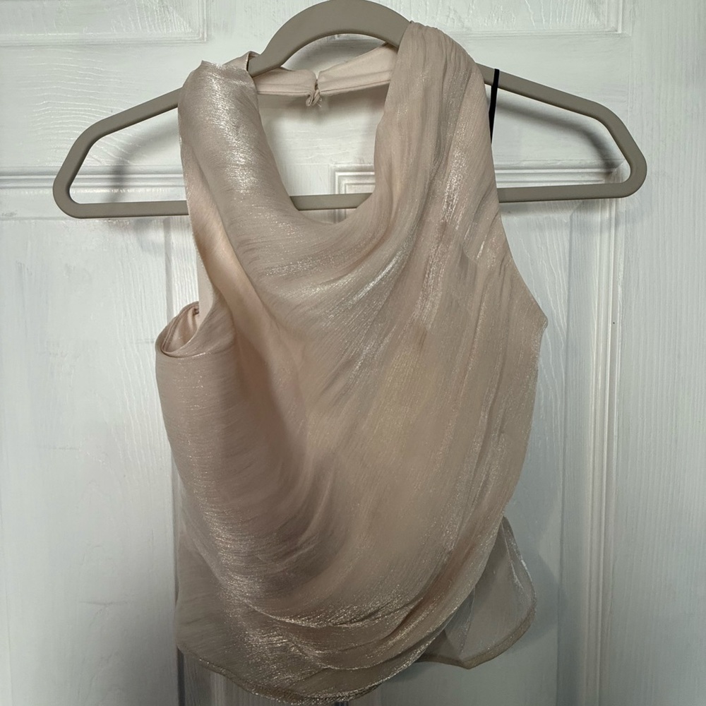 Sheer Draped Sleeveless Top in Shimmery Blush